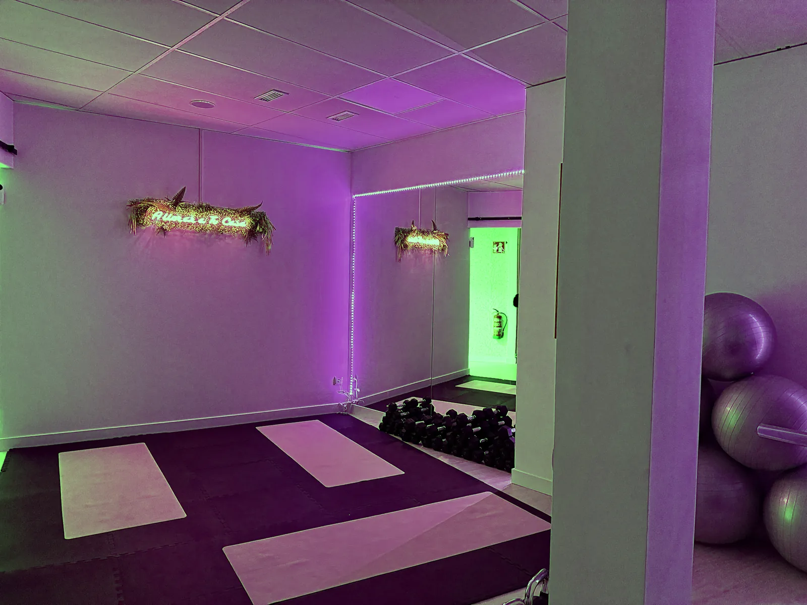 Sala de pilates terapeutico de MEFIT WOMAN Pinto
